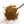 Load image into Gallery viewer,
Aromatic Spice Blends Rai Masala Spiced Mustard spice blend closeup on spoon