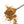 Load image into Gallery viewer,  Aromatic Spice Blends Garam Masala spice blend closeup on spoon

