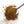 Load image into Gallery viewer,  Aromatic Spice Blends Rai Masala Spiced Mustard spice blend closeup on spoon

